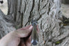 Single piece faceted handle spider fang fork